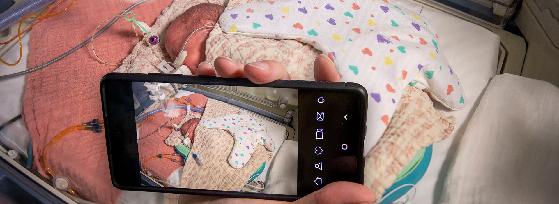 Slimme couveuse camera